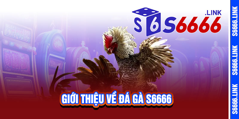 Đá Gà S6666 - Cực phẩm đấu trường, tỷ lệ 'nổ' khủng 2 Giới thiệu về Đá Gà S6666